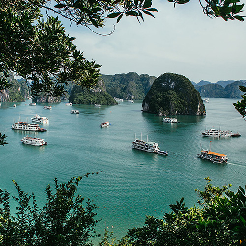 Halong bay cruises