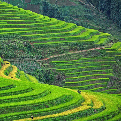 Sapa Trek