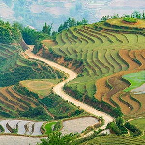 Sapa