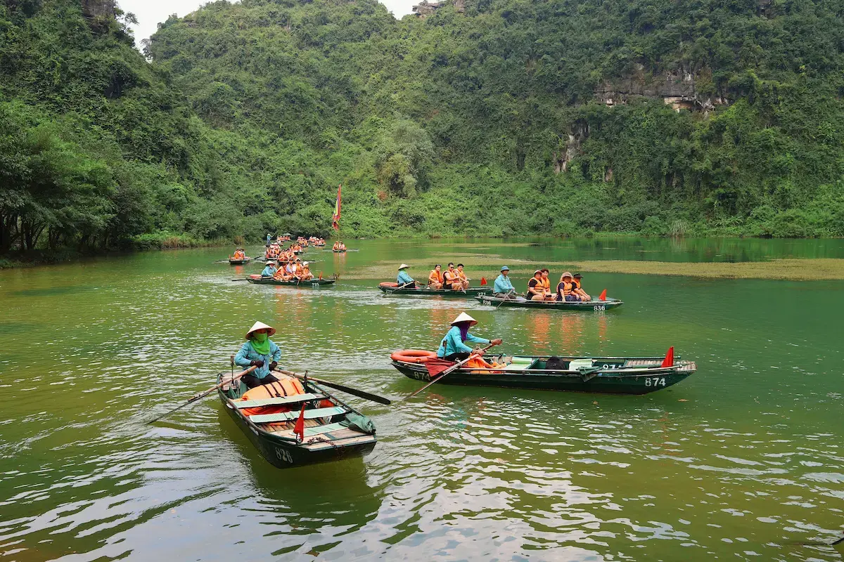 Best Time to Visit Ninh Binh: Weather, Rice Fields and Crowds