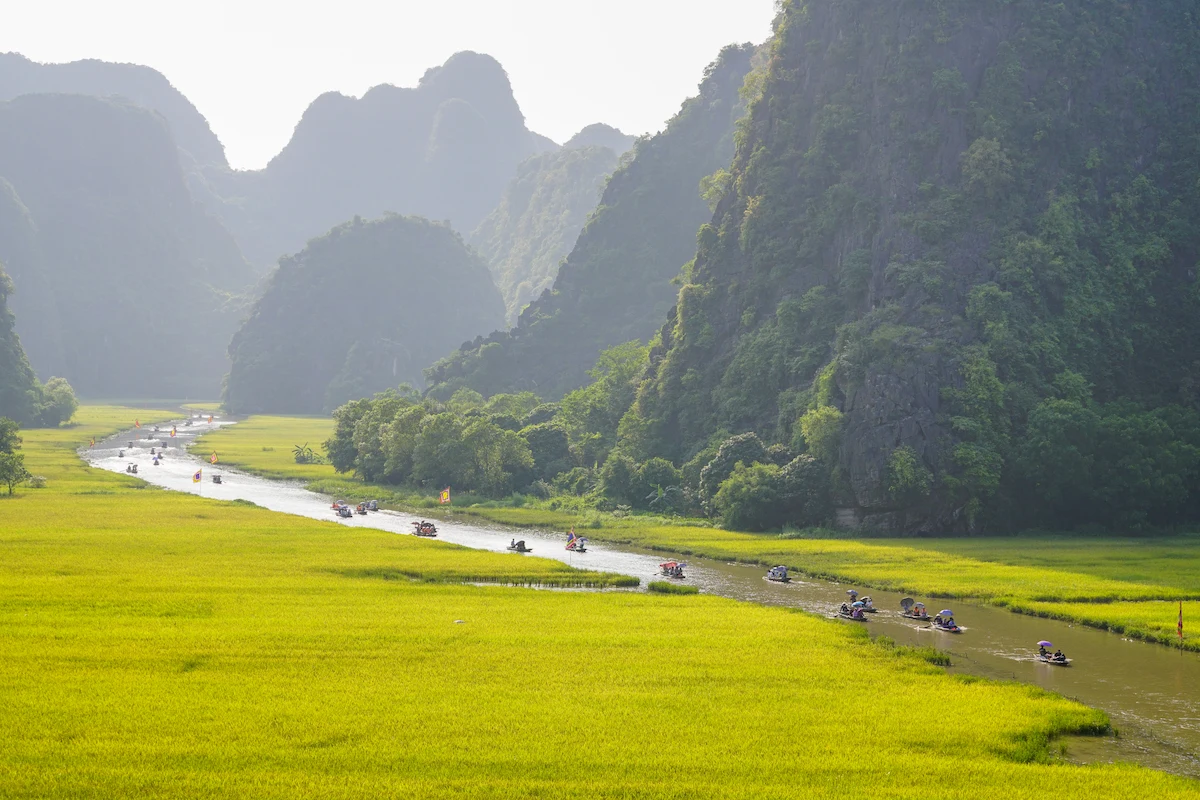 Ngo Dong River winding through golden rice fields and limestone mountains during the Tam Coc boat tour in Ninh Binh