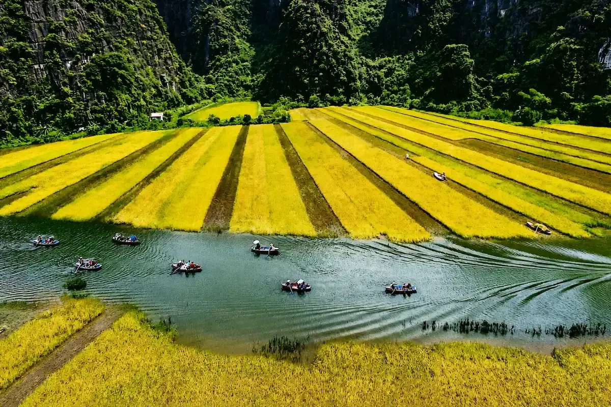 Perfect Ninh Binh 1 Day Itinerary for First-Time Visitors