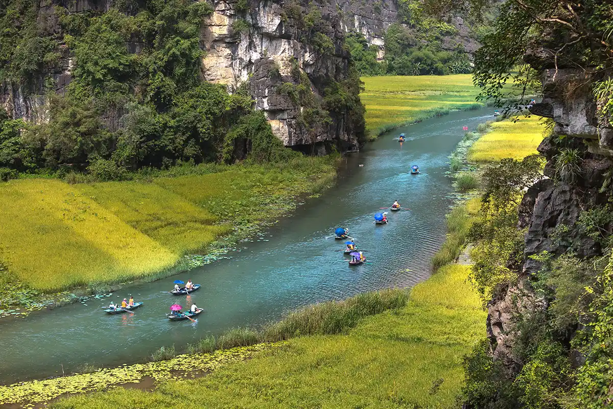 Small boats cruising along Tam Coc River between rice fields and limestone cliffs
