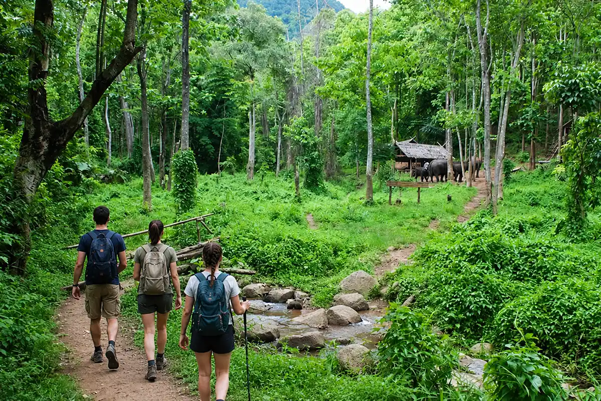 Tourists trekking along a forest trail in Cuc Phuong National Park