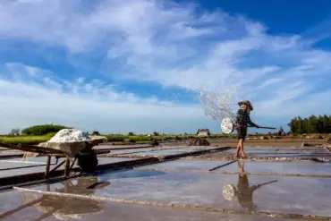 Salt farmer carrying harvested salt across the Bach Long salt fields