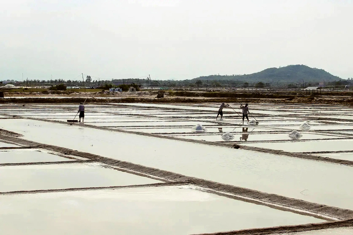 Salt farmers working among evaporation ponds at Bach Long Salt Field