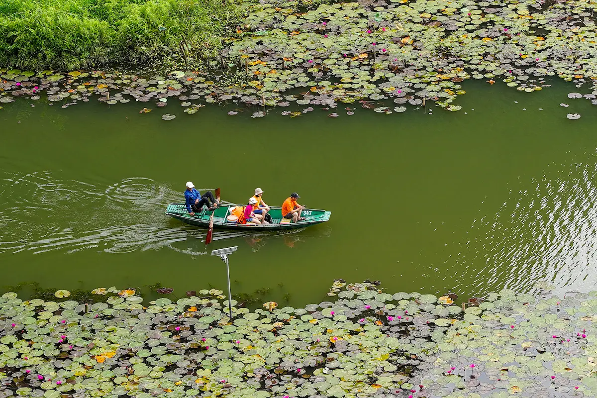 Tourists taking a boat ride among lotus-covered waters in Tam Coc