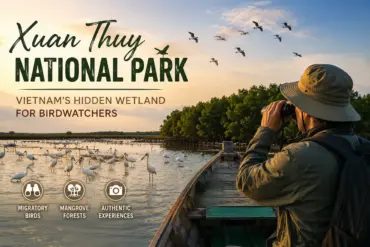 Birdwatcher observing migratory birds at Xuan Thuy National Park in Ninh Binh