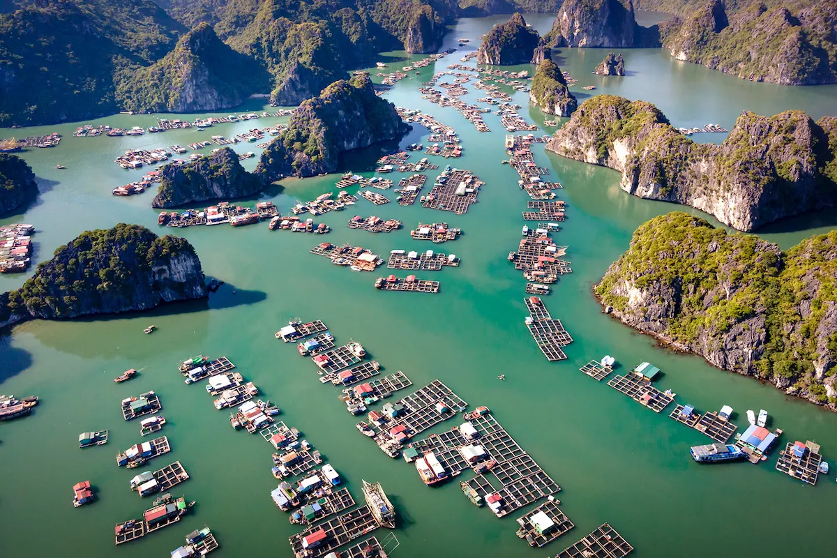 Aerial view of floating fishing farms in Lan Ha Bay