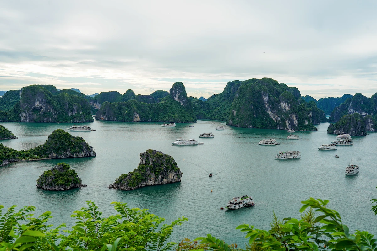 Ha Long Bay Cruise Guide for First-Time Visitors: How to Choose a Cruise and Plan Your Visit