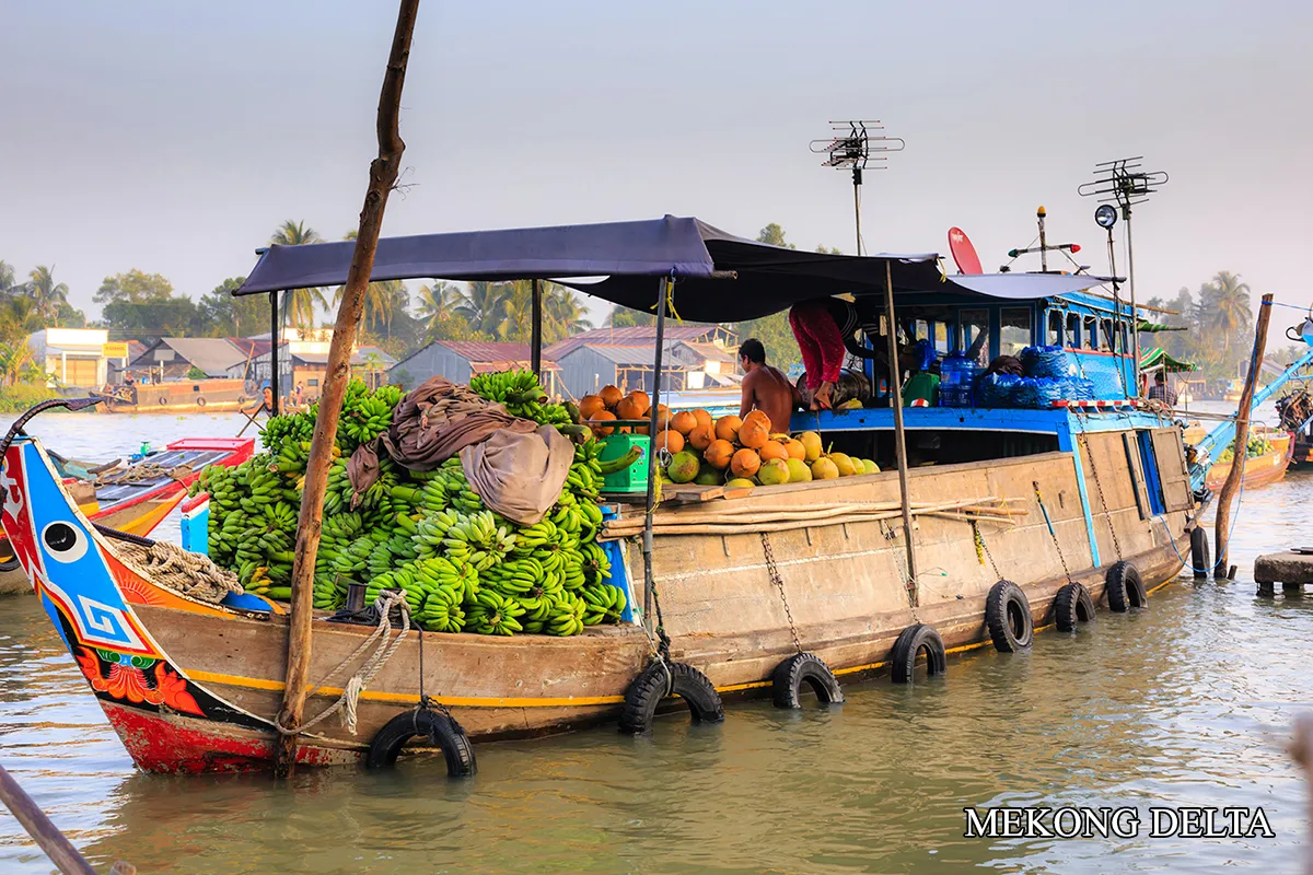 Floating market boat carrying fresh fruit in Mekong Delta