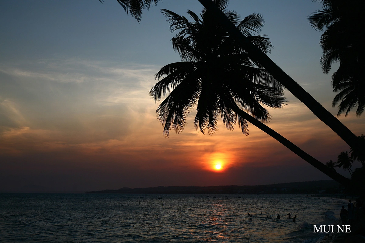 Mui Ne beach with palm trees during sunset