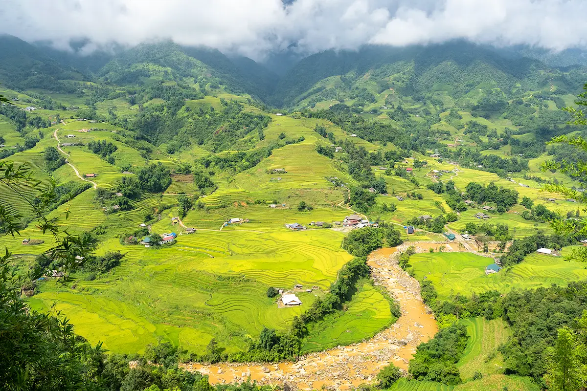 Breathtaking valley with golden rice terraces along Sapa trekking path